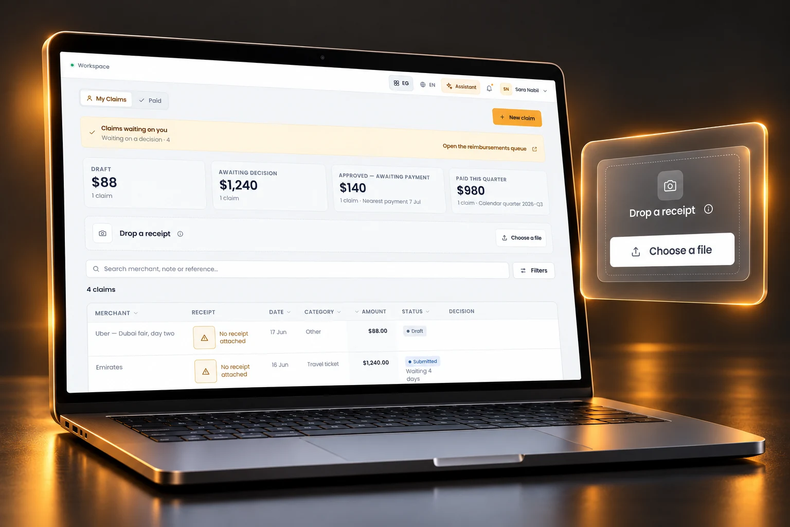3D visualization of Expense claims. Sample interface and data.